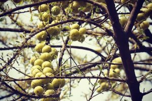 66168EA2-B073-4B60-B844-8420F78EB8AE