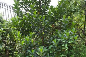 AFCFA019-C8BA-4F9B-B214-C8F7C4C2A796