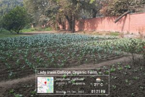 GPS_2022_12_19_01_21_38_1671436298765